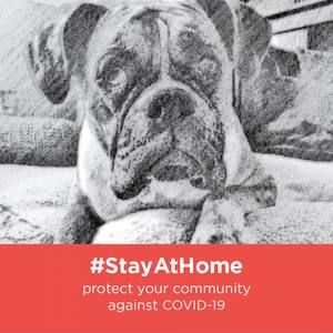 Meet your Posher, Lanny